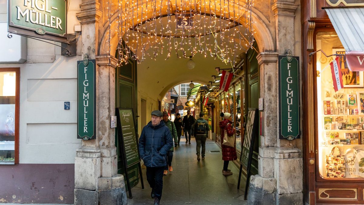 Restaurants à Vienne : le guide des cinq institutions